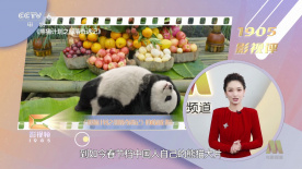 国产精品一区二区不卡